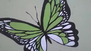 Linda borboleta verde, branca e preta desenhada na parede da floricultura [Nature & Animals]