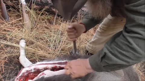 Field Dressing A Deer And Staying Clean
