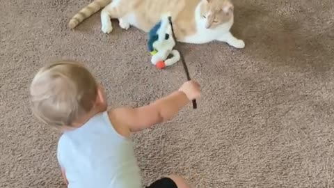 Babies love cat