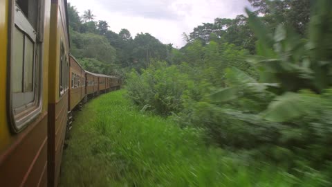 Sri Lankan Train