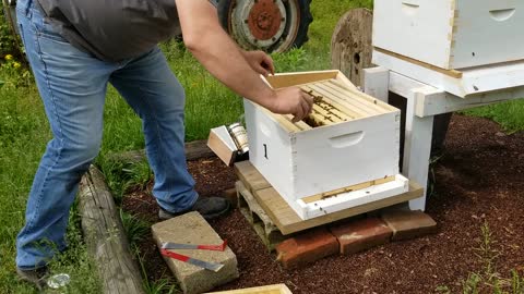 Adding 2nd Deep to Hives