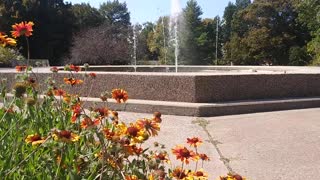 Water Fountain Relaxing Splashing Water Sounds Flowers with Bees Beautiful Autumn Nature ASMR Sleep