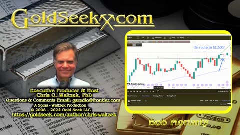 GoldSeek Radio Nugget - Bob Moriarty: Gold's Record Rise