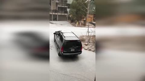 BEAR ALMOST STEALS CAR