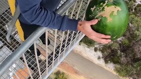 Watermelon Vs. World’s Largest Exercise Ball