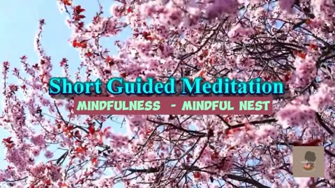 5-Minute Short Guided Meditation : Nature Walk #restful #relaxing #mindful