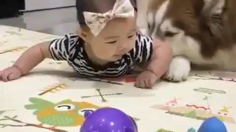 Johnny loves nothing more than playing with babies