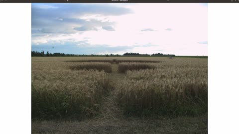 Crop Circles around me & I am THE Hot Spot for Ufo's LIVE proof and Howick Quebec