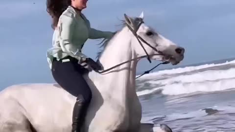 Beach Horse Riding