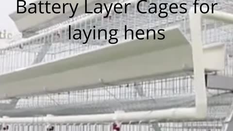 Labor Saving Kenya Poultry Farm Chicken Battery Layer Cages for laying hens