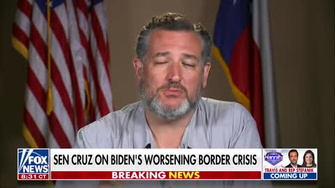 The Biden body bags keep getting worse: Ted Cruz