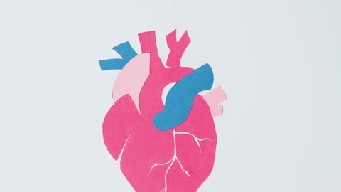 human heart animation in white background