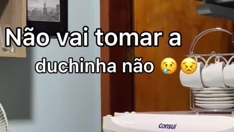 Gravei meu irmão falando com a gata de estimação Kkkkkkkk