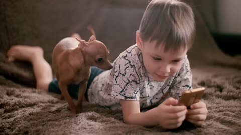 A boy lies on a sofa and plays a game on a smartphone, a small dog lies nearby
