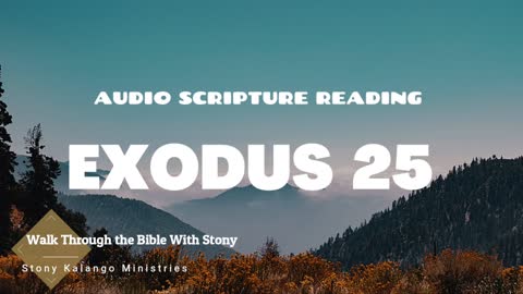 Exodus Chapter 25 - Day 75 of Walking Through The Entire Bible With Stony Kalango