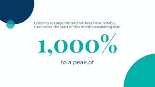 Bitcoin Adoption Reaches Yearly High Despite Increasing Transaction Fees