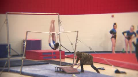 Gymnastics Wagner region bars Gip