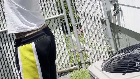 Bird Rescued after Getting Head Stuck In Roof Gutter