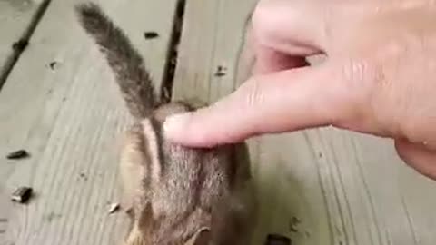 Petting my little friend