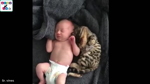 A Cute Baby And Cat Play Extremely Fun