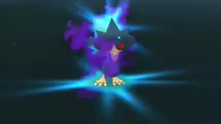 Pokémon GO-Shadow Murkrow