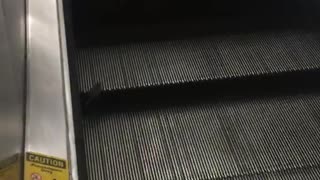 Mouse running up escalator, people almost step on it