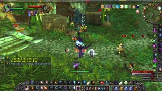World of Warcraft Classic Shadow enters Zul Gurrub full raid