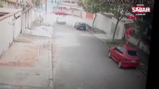 This is how he saved the boy who was attacked by Pitbull!