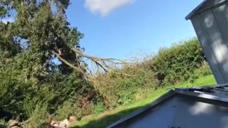 Attempting to Help Dad Stand Up a Fallen Over Shed