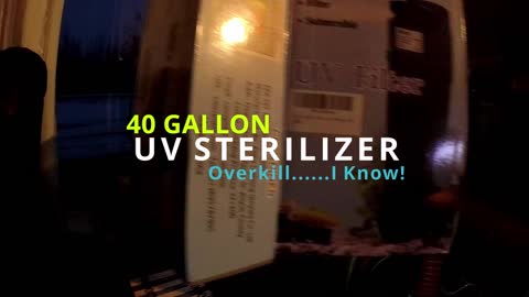 Aquarium UV Sterilizer...Does it Work?