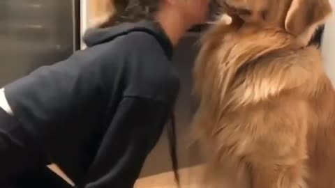 FUNNY OBEDIENT DOG OWNER IS SO MUCH LOVING