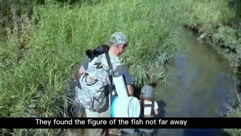 Otters domesticated by their owners are born hunters of fish