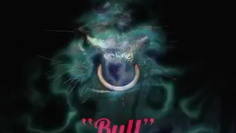 “Bull” By Jeffrey Paul