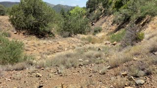 Gold Prospecting in the Mazatzal's