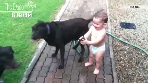 Babies Laughing At Pets | The Dodo