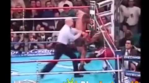 MIKE TYSON KNOCKOUTS