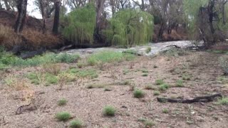 Namoi River Reborn After Heavy Rain