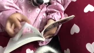 Dog Hits the Books