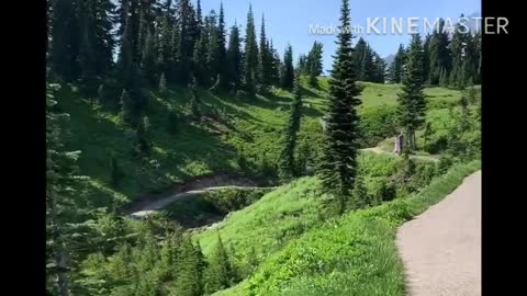 Mount Rainier in Summer