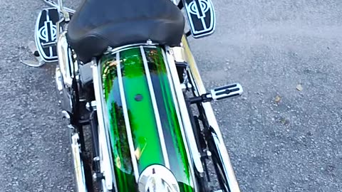Green Harley Davidson looking Magnificent in Jensen Beach, Florida