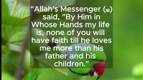 what is faith | sahih bukhari 14