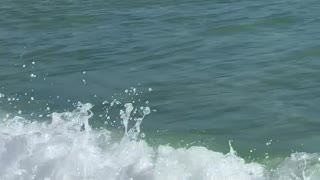 Beach Swimming Along Close to Shore