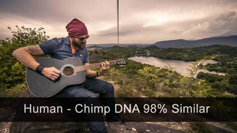 Is Human & Chimpanzee DNA 98% Similar? Not Even Close!