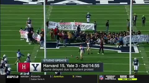 Spoiled Ivy League Students Cause Chaos At Historic Harvard - Yale Football Game