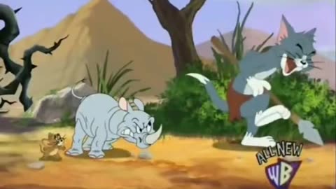 Tom and Jerry Lovers | Funny Cartoon Videos | Tom and Jerry