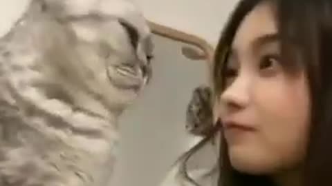 Cat Headbutt, Lovely Girl With Cute Cat