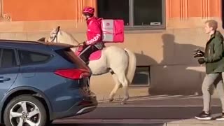 Horse Helps Deliver Food To Hungry Humans