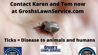 Ticks Williamsport Maryland Lyme Disease Lawn Care Service