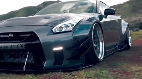 The Godzilla