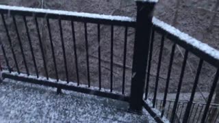 January 15, 2021 - Snow in Avon, Indiana